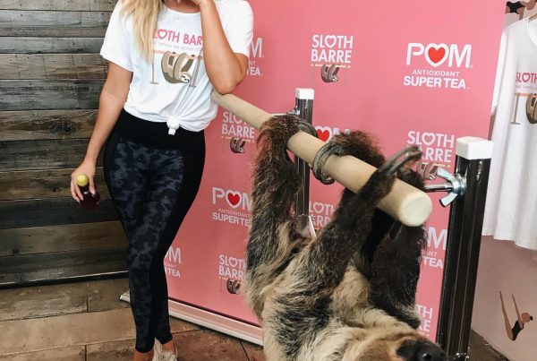 Becca Tilley poses with a sloth during sloth barre at Barre Belle in Los Angeles.